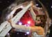 Alan Long GSW_IMG_2759.jpg