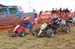 Alan Long DSC_6156.jpg