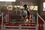 Alan LongIMG_0058.jpg