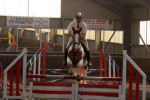 Alan LongIMG_0080.jpg