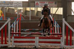 Alan LongIMG_0086.jpg