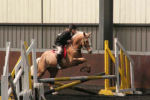 Alan LongIMG_0213.jpg