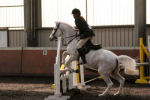 Alan LongIMG_0391.jpg