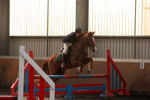 Alan LongIMG_0393.jpg