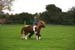 Alan Long IMG_0031.jpg