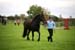 Alan Long IMG_0047.jpg