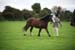 Alan Long IMG_0050.jpg