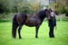 Alan Long IMG_0169.jpg