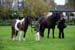 Alan Long IMG_0174.jpg