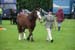 Alan Long IMG_0183.jpg