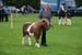 Alan Long IMG_0186.jpg