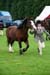 Alan Long IMG_0189.jpg