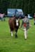 Alan Long IMG_0196.jpg
