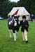 Alan Long IMG_0197.jpg