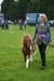 Alan Long IMG_0200.jpg