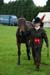 Alan Long IMG_0201.jpg