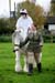 Alan Long IMG_0234.jpg