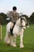 Alan Long IMG_0241.jpg