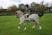 Alan Long IMG_0268.jpg