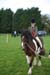 Alan Long IMG_0274.jpg