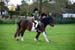 Alan Long IMG_0275.jpg