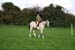 Alan Long IMG_0286.jpg
