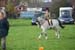 Alan Long IMG_0299.jpg