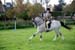Alan Long IMG_0300.jpg