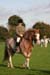 Alan Long IMG_0307.jpg