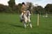 Alan Long IMG_0314.jpg