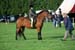 Alan Long IMG_0325.jpg