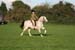 Alan Long IMG_0345.jpg
