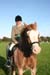 Alan Long IMG_0363.jpg