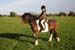 Alan Long IMG_0386.jpg