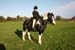 Alan Long IMG_0388.jpg