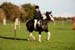 Alan Long IMG_0392.jpg