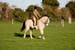 Alan Long IMG_0393.jpg