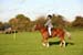 Alan Long IMG_0402.jpg