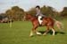 Alan Long IMG_0404.jpg