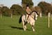 Alan Long IMG_0406.jpg