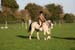 Alan Long IMG_0414.jpg