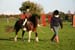 Alan Long IMG_0419.jpg