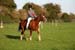 Alan Long IMG_0423.jpg