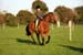 Alan Long IMG_0430.jpg