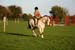 Alan Long IMG_0431.jpg
