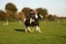 Alan Long IMG_0432.jpg