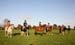 Alan Long IMG_0437.jpg