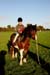 Alan Long IMG_0452.jpg