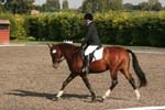 Alan Long IMG_0006.jpg