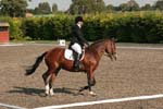 Alan Long IMG_0008.jpg